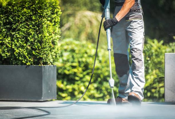 Best Building Exterior Washing  in Arcola, VA